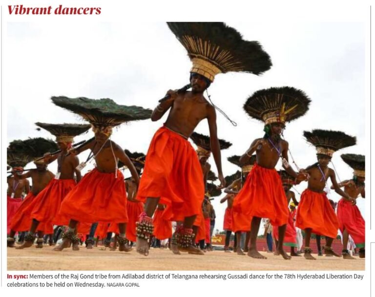 From Sacred Ritual to State Stage: The Journey of the Gond’s Gussadi Dance